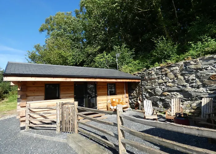 Abergwynant Farm Glamping & Apartments