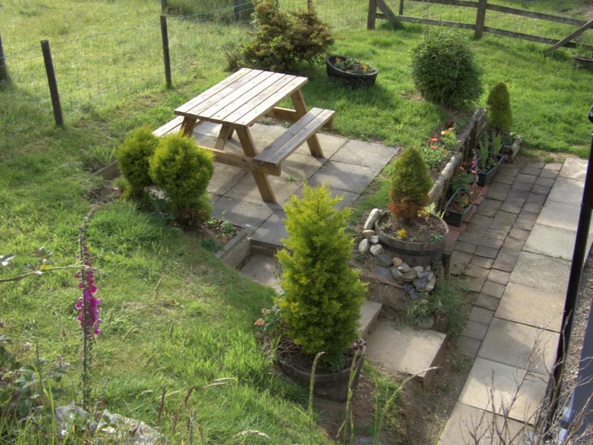 Abergwynant Farm Glamping & Apartamento *