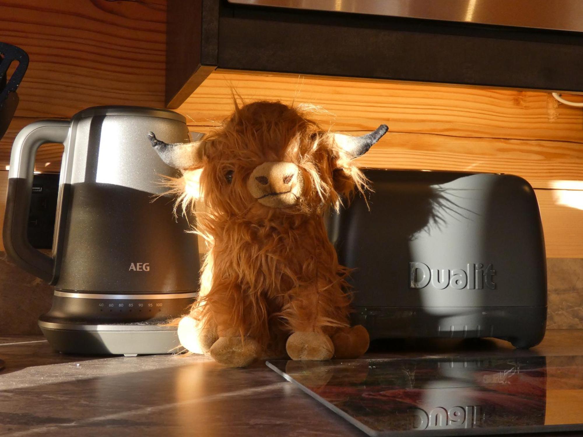 Abergwynant Farm Glamping & Dolgellau
